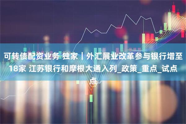 可转债配资业务 独家｜外汇展业改革参与银行增至18家 江苏银行和摩根大通入列_政策_重点_试点